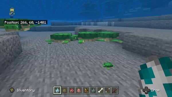 how to breed turtles in minecraft (3)