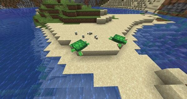 how to breed turtles in minecraft (4)