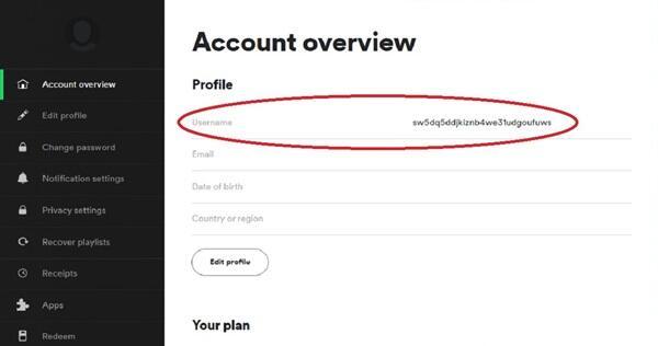 How To Change Spotify Username (1)