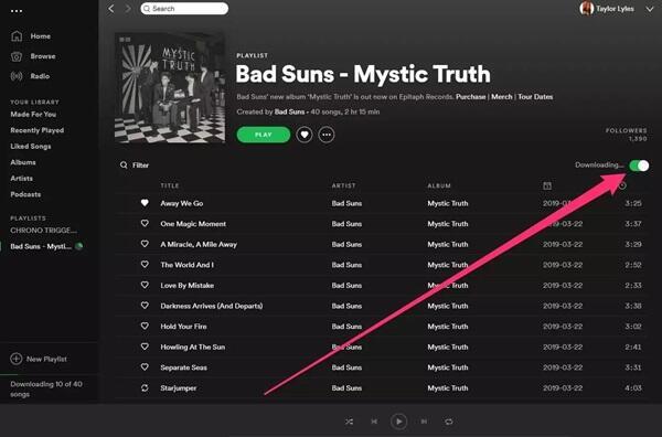 how to download music from spotify (1)