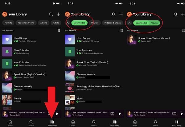 how to download music from spotify (2)