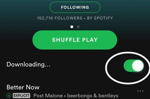 how to download music from spotify (4)