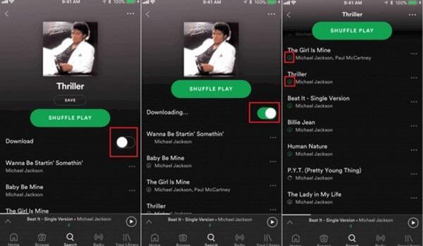how to download music from spotify (5)