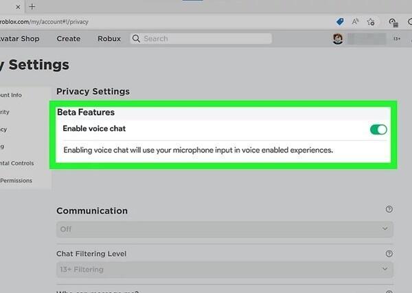 how to get voice chat on roblox (3)