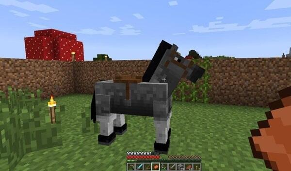 how to tame a horse in minecraft1