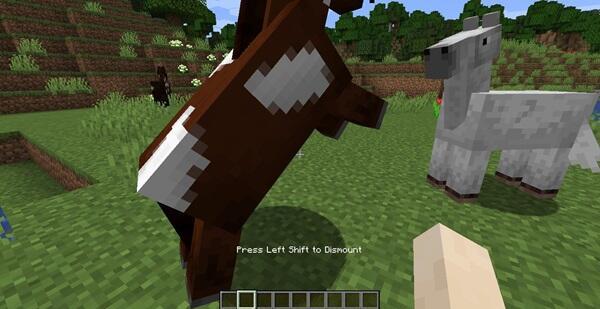 how to tame a horse in minecraft3