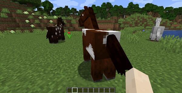 how to tame a horse in minecraft4