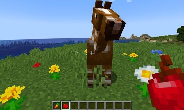 how to tame a horse in minecraft6