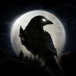 Icon NIGHT CROWS APK 1.6.15