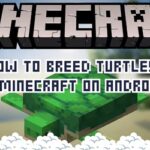How to Breed Turtles in Minecraft on Android