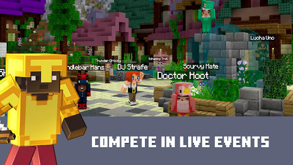 Minecraft 5