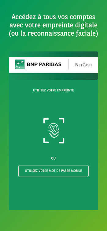 Net Cash 1