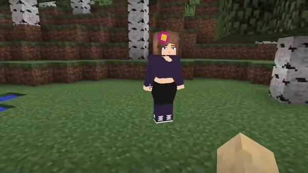 Jenny Minecraft 1